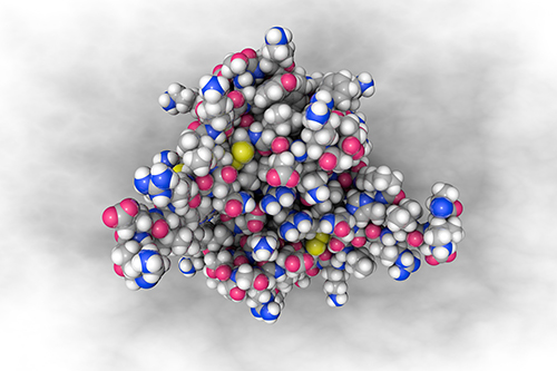 Proteomics Analysis of Post-Translational Modifications